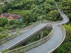 -福道