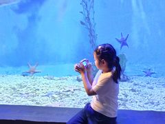 -太平洋海底世界