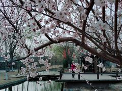 -三里河公园
