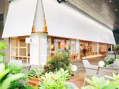-tea'stone (万象天地店)