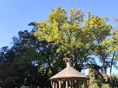-元大都城垣遗址公园