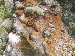 -祁门牯牛降观音堂风景区