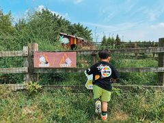 -田园东方蜜桃村的田野营地