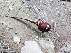 -大连老虎滩海洋公园