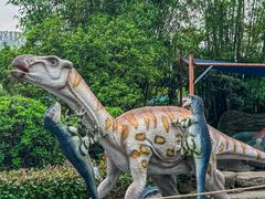 -海合安武汉极地海洋公园