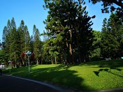 -人民公园(罗湖区)