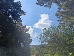 -北京西山国家森林公园