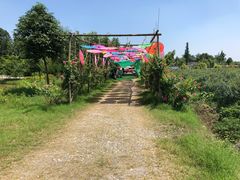 -金谷域澳洲庄园