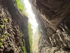 -武陵山森林公园