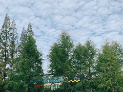 -黄海国家森林公园