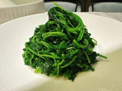 南京菊花脑-民国红公馆·秦淮八艳(夫子庙店)