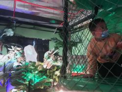 点击看大图 -恐龙探索乐园(磁器口店)