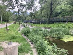 -白水寺森林公园