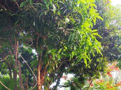 -三亚南山文化旅游区