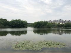 -新江湾城公园