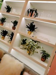 -Hi Beauty Skin 科技美肤中心