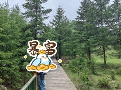 -苏木山森林公园