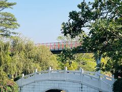 -王借岗森林公园