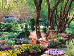 -上海共青森林公园