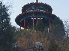 -府君山公园