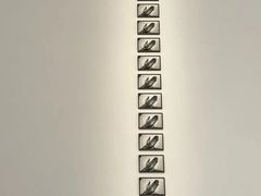 -金泽21世纪美术馆