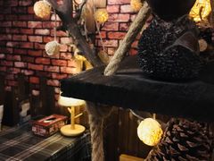 -MAX伯爵趣味互动密室逃脱(大坪D馆店)