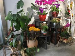 -靳晖金百合花艺GOLDENLILY(南院门店)