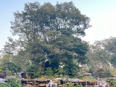 -东莞植物园
