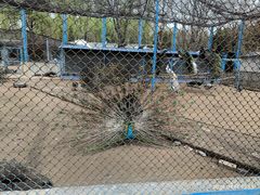 -森林公园(尖草坪区)