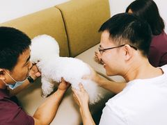 -美联众合动物医院·24h转诊中心