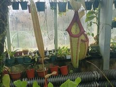 -国家植物园南园