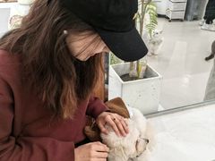 -共舞时光猫咖·狗咖(新街口店)