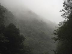 -山沟沟景区