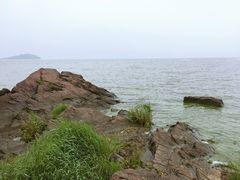 -上海市保健医疗中心(华东疗养院)