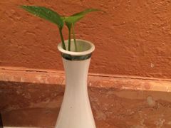 -成都绿洲大酒店(春熙路太古里店)