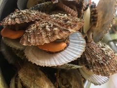 -宾朋海鲜美食餐厅·特色美食(兴海路店)