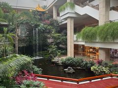 -广州白天鹅宾馆