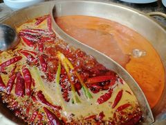红油番茄鸳鸯锅-小龙坎火锅(全球总店)