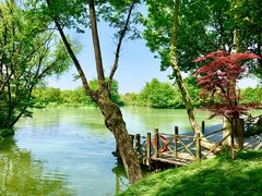 -西溪国家湿地公园