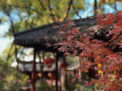 -天一阁博物院