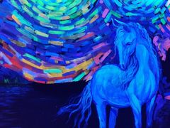 -深圳独角兽星空艺术馆