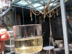 -喵屿·大理花园猫咖