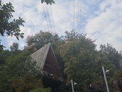 -巴倒烫陆派火锅山庄(南山总店)