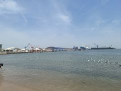 -海驴岛(荣成市)