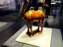 -贵州省博物馆(新馆)