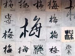 -杭州植物园