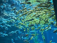-南昌融创海世界