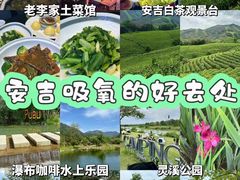 -老李家土菜馆·安吉地标美食