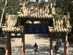 -敦煌莫高窟