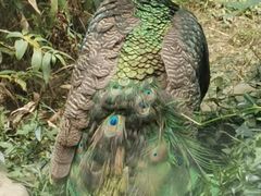 -苏州环秀晓筑养生度假村